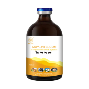 Multi-Vitamin B Injection