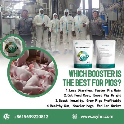 best-booster-for-pigs-1