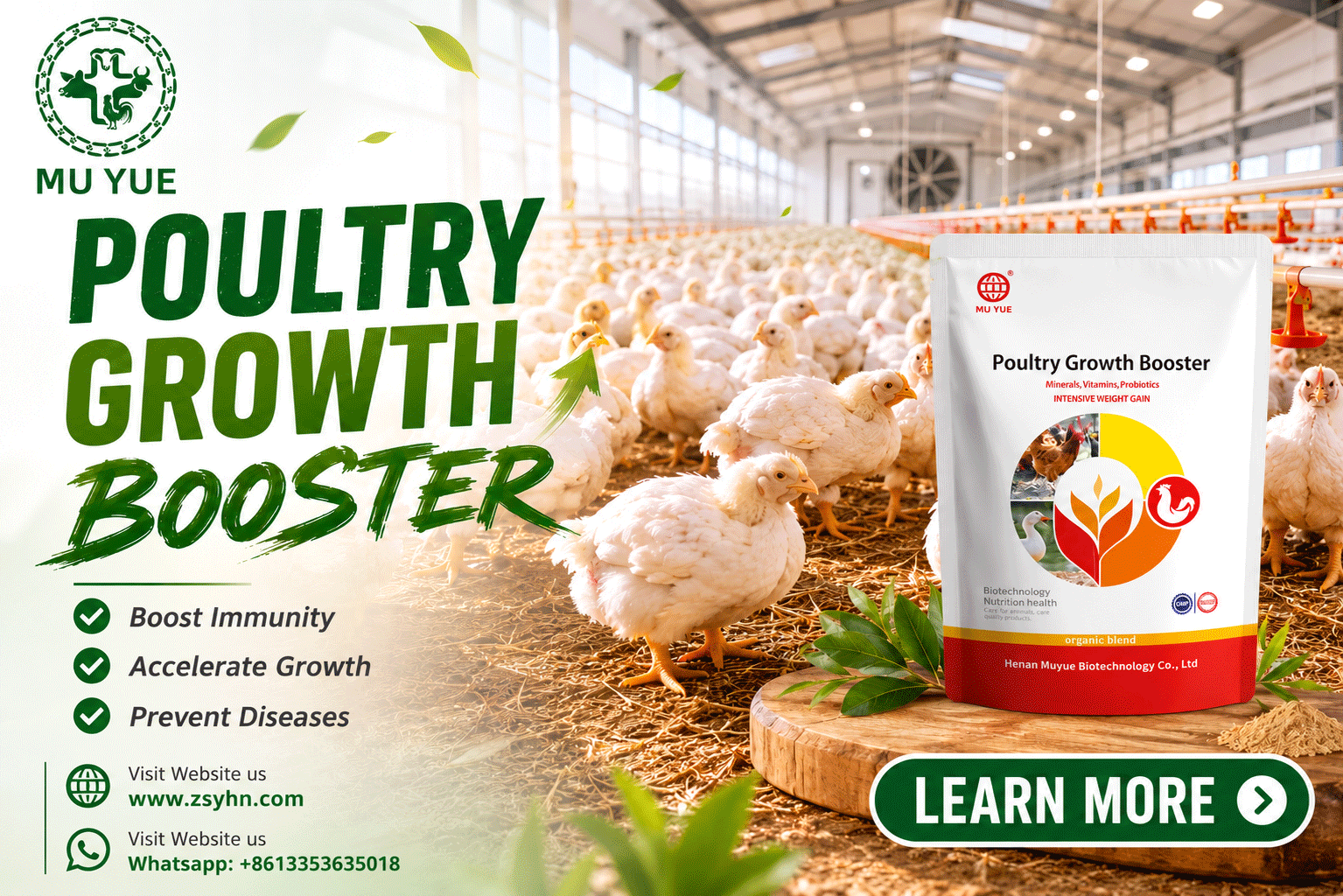Broiler farming in Uganda showing profitable flock management