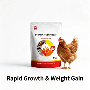 MUYUE BIO feed additives to feed broilers for fast growth in Kenya